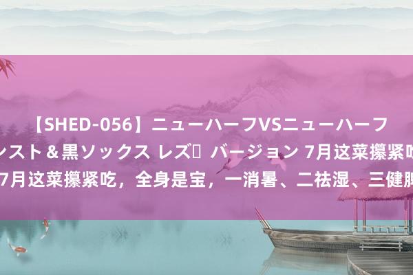 【SHED-056】ニューハーフVSニューハーフ 不純同性肛遊 3 黒パンスト＆黒ソックス レズ・バージョン 7月这菜攥紧吃，全身是宝，一消暑、二祛湿、三健脾，鲜活养分高