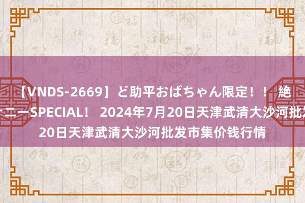 【VNDS-2669】ど助平おばちゃん限定！！ 絶頂ディルドオナニーSPECIAL！ 2024年7月20日天津武清大沙河批发市集价钱行情