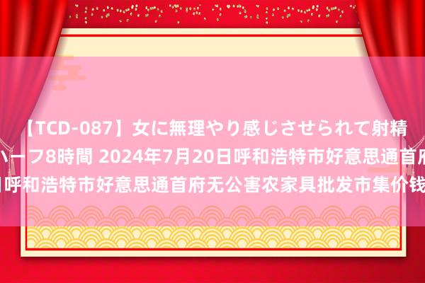 【TCD-087】女に無理やり感じさせられて射精までしてしまうニューハーフ8時間 2024年7月20日呼和浩特市好意思通首府无公害农家具批发市集价钱行情