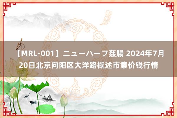 【MRL-001】ニューハーフ姦腸 2024年7月20日北京向阳区大洋路概述市集价钱行情