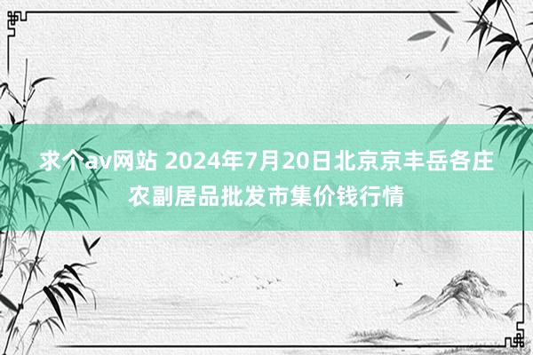 求个av网站 2024年7月20日北京京丰岳各庄农副居品批发市集价钱行情