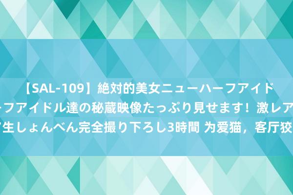 【SAL-109】絶対的美女ニューハーフアイドル大集合！！ ニューハーフアイドル達の秘蔵映像たっぷり見せます！激レア生しょんべん完全撮り下ろし3時間 为爱猫，客厅狡计悬浮玻璃猫屋，太休养了