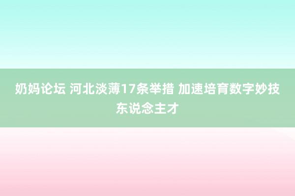 奶妈论坛 河北淡薄17条举措 加速培育数字妙技东说念主才