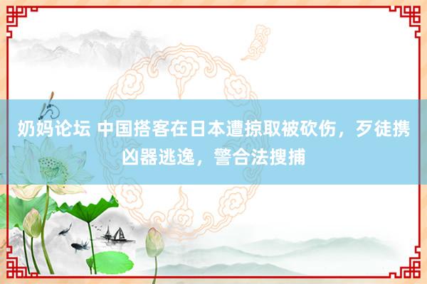 奶妈论坛 中国搭客在日本遭掠取被砍伤，歹徒携凶器逃逸，警合法搜捕