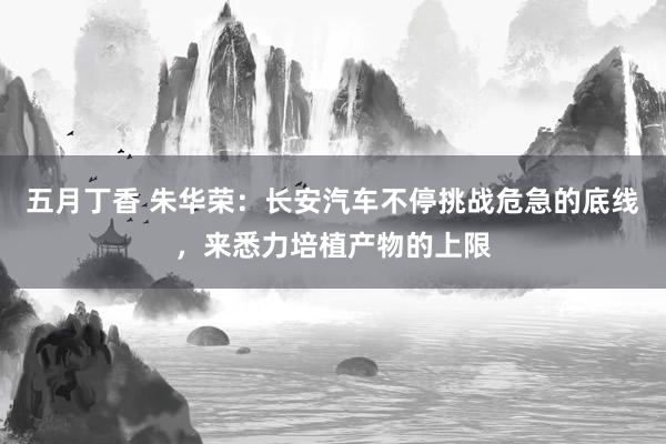 五月丁香 朱华荣：长安汽车不停挑战危急的底线，来悉力培植产物的上限