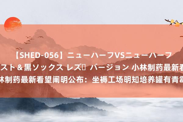 【SHED-056】ニューハーフVSニューハーフ 不純同性肛遊 3 黒パンスト＆黒ソックス レズ・バージョン 小林制药最新看望阐明公布：坐褥工场明知培养罐有青霉附着 但放任岂论