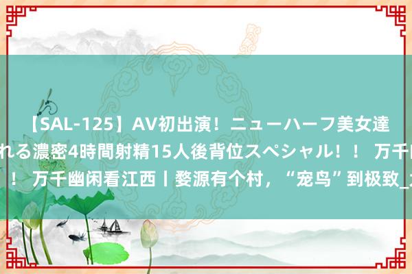 【SAL-125】AV初出演！ニューハーフ美女達が強烈バックで全員犯される濃密4時間射精15人後背位スペシャル！！ 万千幽闲看江西丨婺源有个村，“宠鸟”到极致_大皖新闻 | 安徽网