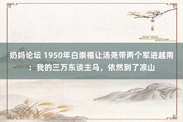 奶妈论坛 1950年白崇禧让汤尧带两个军进越南：我的三万东谈主马，依然到了凉山