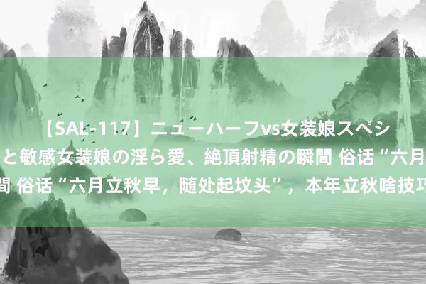 【SAL-117】ニューハーフvs女装娘スペシャル 猥褻ニューハーフと敏感女装娘の淫ら愛、絶頂射精の瞬間 俗话“六月立秋早，随处起坟头”，本年立秋啥技巧？有道理吗