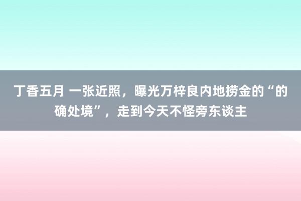 丁香五月 一张近照，曝光万梓良内地捞金的“的确处境”，走到今天不怪旁东谈主