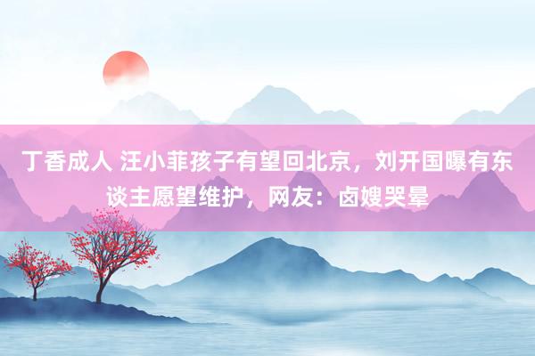 丁香成人 汪小菲孩子有望回北京，刘开国曝有东谈主愿望维护，网友：卤嫂哭晕