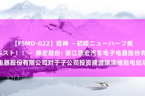 【FSMD-022】姫神 ～初姫ニューハーフ疾風怒濤の初撮り4時間ベスト！！～ 德宏股份: 浙江德宏汽车电子电器股份有限公司对于子公司投资建造旗滨储能电站项主义公告内容摘要