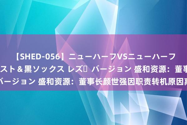 【SHED-056】ニューハーフVSニューハーフ 不純同性肛遊 3 黒パンスト＆黒ソックス レズ・バージョン 盛和资源：董事长颜世强因职责转机原因离职