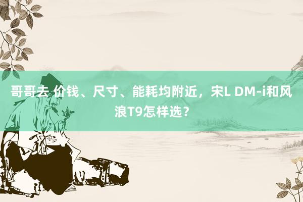 哥哥去 价钱、尺寸、能耗均附近，宋L DM-i和风浪T9怎样选？