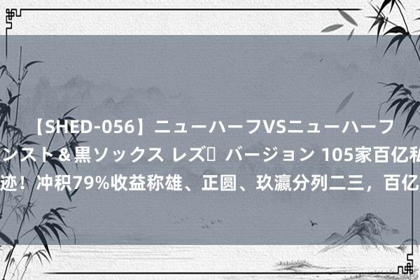 【SHED-056】ニューハーフVSニューハーフ 不純同性肛遊 3 黒パンスト＆黒ソックス レズ・バージョン 105家百亿私募晒事迹！冲积79%收益称雄、正圆、玖瀛分列二三，百亿量化28家平均收益19%超合座水平