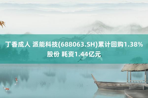 丁香成人 派能科技(688063.SH)累计回购1.38%股份 耗资1.44亿元