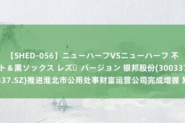 【SHED-056】ニューハーフVSニューハーフ 不純同性肛遊 3 黒パンスト＆黒ソックス レズ・バージョン 银邦股份(300337.SZ)推进淮北市公用处事财富运营公司完成增握 累计增握339.95万股