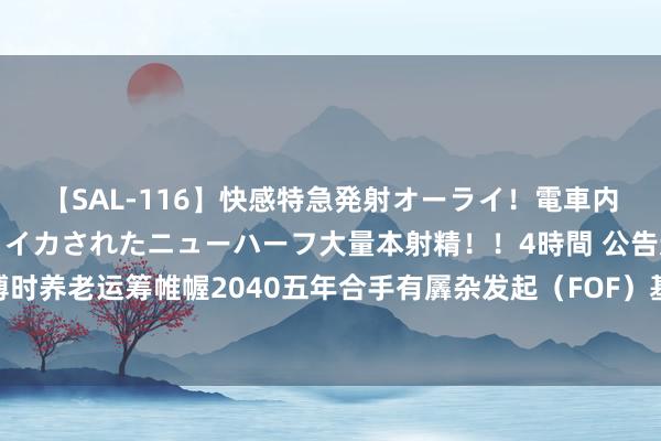 【SAL-116】快感特急発射オーライ！電車内で痴漢集団に気持ちよくイカされたニューハーフ大量本射精！！4時間 公告速递：博时养老运筹帷幄2040五年合手有羼杂发起（FOF）基金暂停申购、如期定额投资业务