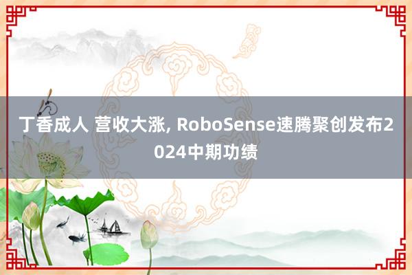 丁香成人 营收大涨， RoboSense速腾聚创发布2024中期功绩