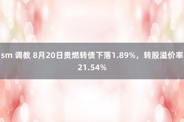 sm 调教 8月20日贵燃转债下落1.89%，转股溢价率21.54%