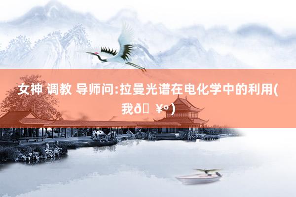 女神 调教 导师问:拉曼光谱在电化学中的利用(我?）