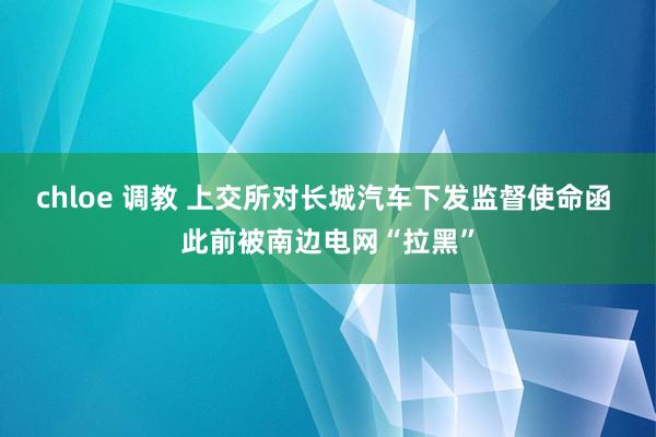 chloe 调教 上交所对长城汽车下发监督使命函 此前被南边电网“拉黑”