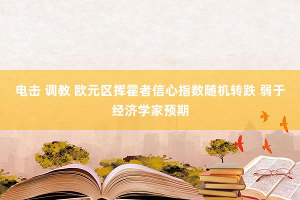 电击 调教 欧元区挥霍者信心指数随机转跌 弱于经济学家预期