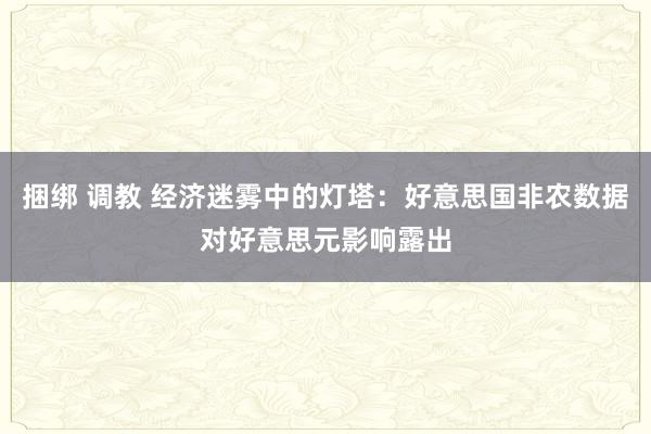 捆绑 调教 经济迷雾中的灯塔：好意思国非农数据对好意思元影响露出