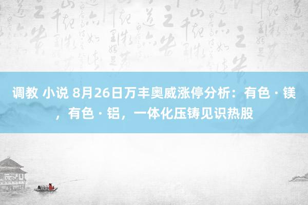 调教 小说 8月26日万丰奥威涨停分析：有色 · 镁，有色 · 铝，一体化压铸见识热股