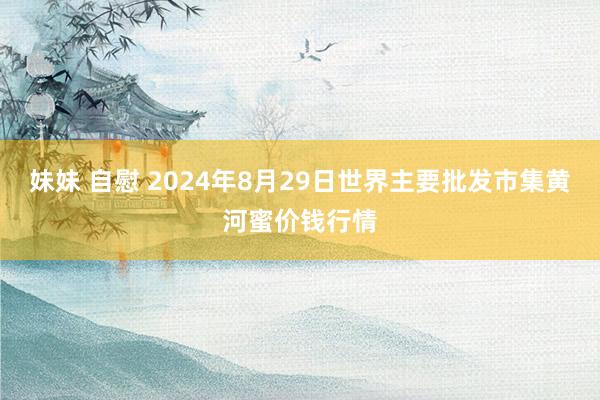 妹妹 自慰 2024年8月29日世界主要批发市集黄河蜜价钱行情