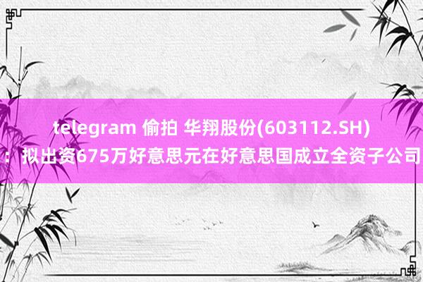 telegram 偷拍 华翔股份(603112.SH)：拟出资675万好意思元在好意思国成立全资子公司