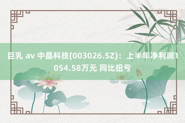 巨乳 av 中晶科技(003026.SZ)：上半年净利润1054.58万元 同比扭亏