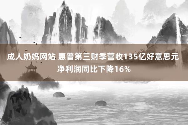 成人奶妈网站 惠普第三财季营收135亿好意思元 净利润同比下降16%