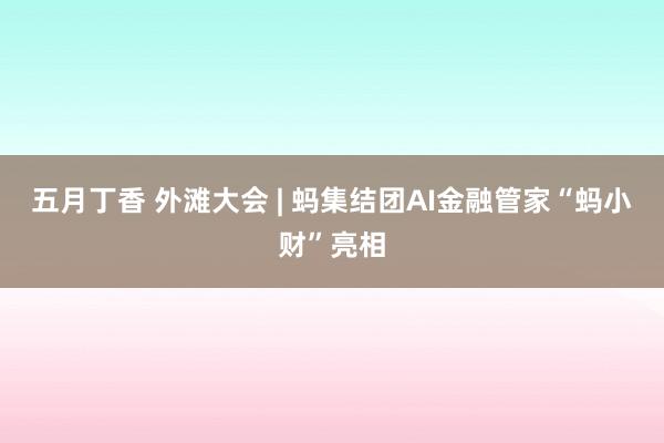 五月丁香 外滩大会 | 蚂集结团AI金融管家“蚂小财”亮相