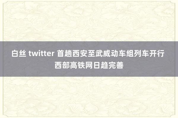 白丝 twitter 首趟西安至武威动车组列车开行 西部高铁网日趋完善