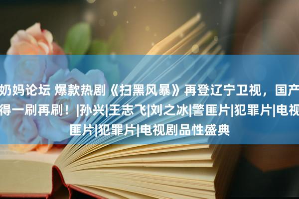 奶妈论坛 爆款热剧《扫黑风暴》再登辽宁卫视，国产物性好剧值得一刷再刷！|孙兴|王志飞|刘之冰|警匪片|犯罪片|电视剧品性盛典