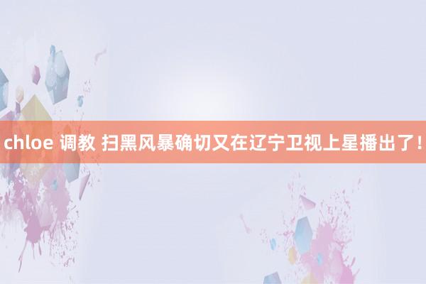 chloe 调教 扫黑风暴确切又在辽宁卫视上星播出了！