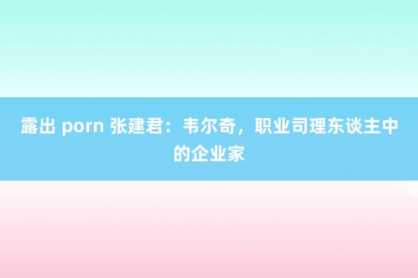 露出 porn 张建君：韦尔奇，职业司理东谈主中的企业家