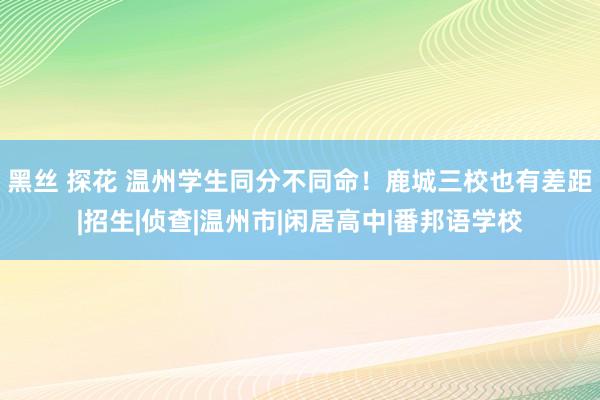 黑丝 探花 温州学生同分不同命！鹿城三校也有差距|招生|侦查|温州市|闲居高中|番邦语学校