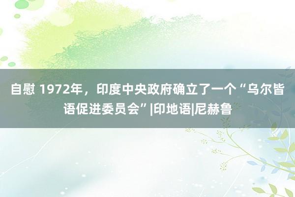 自慰 1972年，印度中央政府确立了一个“乌尔皆语促进委员会”|印地语|尼赫鲁