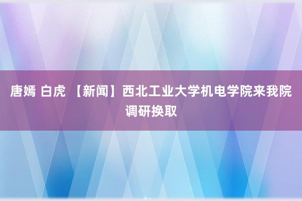 唐嫣 白虎 【新闻】西北工业大学机电学院来我院调研换取