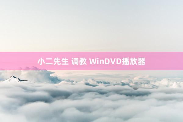 小二先生 调教 WinDVD播放器