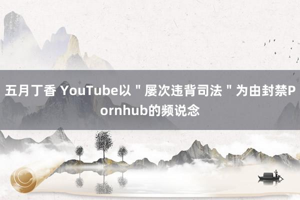 五月丁香 YouTube以＂屡次违背司法＂为由封禁Pornhub的频说念