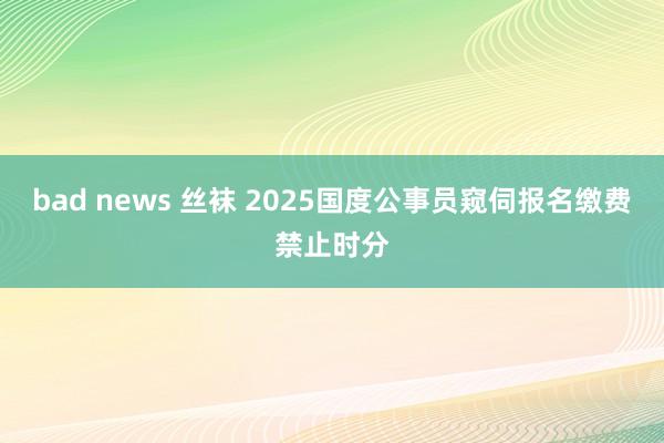 bad news 丝袜 2025国度公事员窥伺报名缴费禁止时分